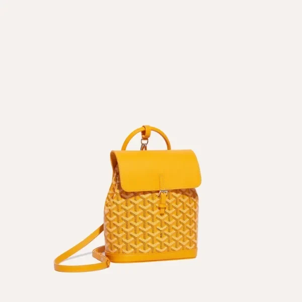 10 Goyard Bags Rich People Don’t Want You to Know About 9.webp
